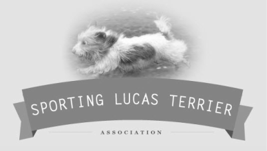 Sporting Lucas Terrier Association Website